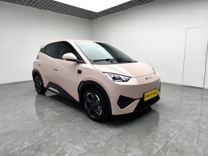 BYD Seagull 2025 Model Smart Driving Edition 305KM Free Edition – фото 3