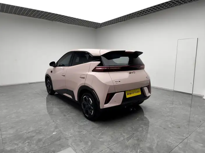 BYD Seagull 2025 Model Smart Driving Edition 305KM Free Edition – фото 5