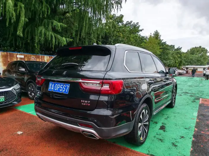 Hongqi HS7 2021 Model 3.0T Automatic 4WD Smart Flag Enjoy Edition – фото 5