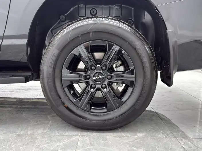 Haval H5 2025 Model 2.0T Diesel Pilot Automatic 4WD – фото 9