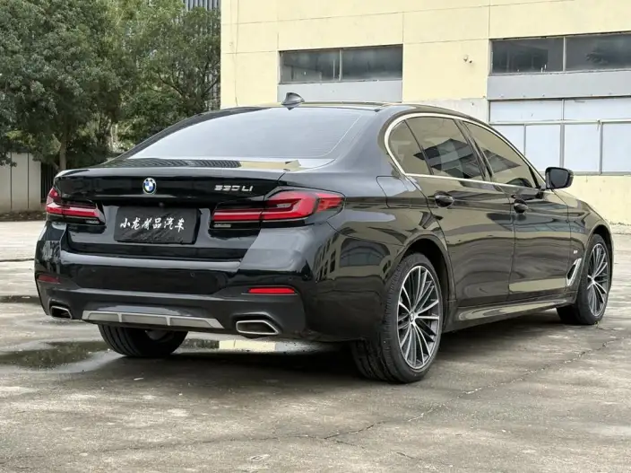 BMW 5 Series 2023 Model Facelift 530Li Leading Model M Sports Set – фото 6