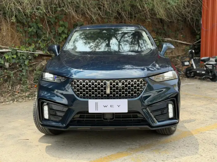 Wey VV7 GT 2020 Model 2.0T Flagship Model – фото 2