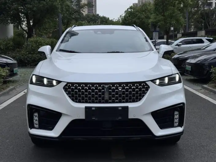 WEY VV7 2020 Model 2.0T Flagship Model – фото 2