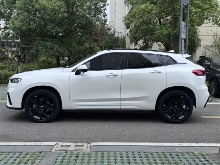 WEY VV7 2020 Model 2.0T Flagship Model – фото 4