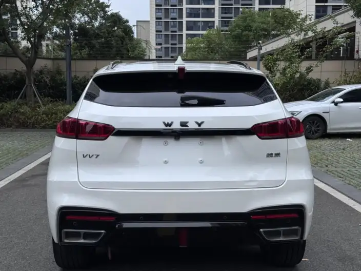 WEY VV7 2020 Model 2.0T Flagship Model – фото 6