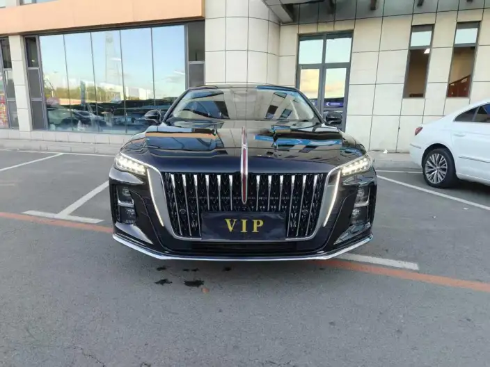 Hongqi H5 2025 Model 2.0T Automatic Flag Enjoy Edition – фото 2