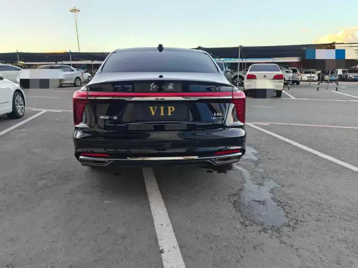 Hongqi H5 2025 Model 2.0T Automatic Flag Enjoy Edition – фото 5