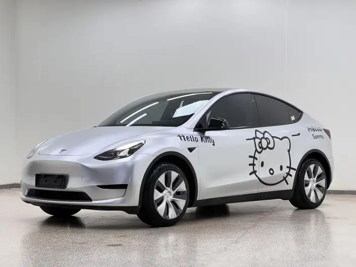 Model Y 2022 Model Facelift Rear-wheel drive version – фото 1