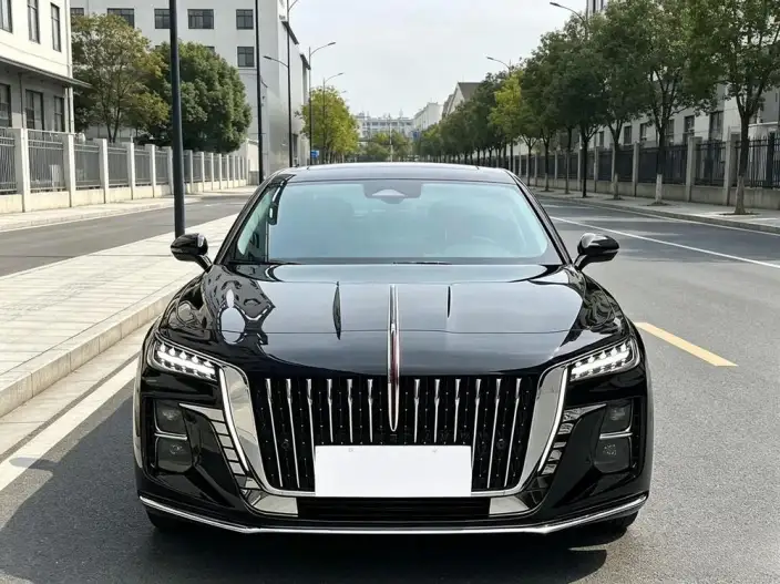 Hongqi H5 2023 Model 1.5T DCT Flag Rhythm Edition – фото 2