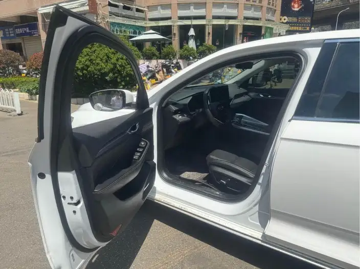Geely StarRui 2021 Model 2.0T Noble Model – фото 10