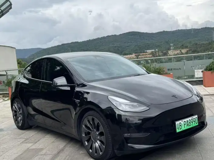 Model Y 2022 Model Performance High performance All-wheel drive version – фото 3
