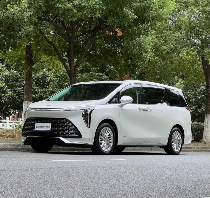 Century 2025 Model 2.0T VI seat Yunshi Edition – фото 1