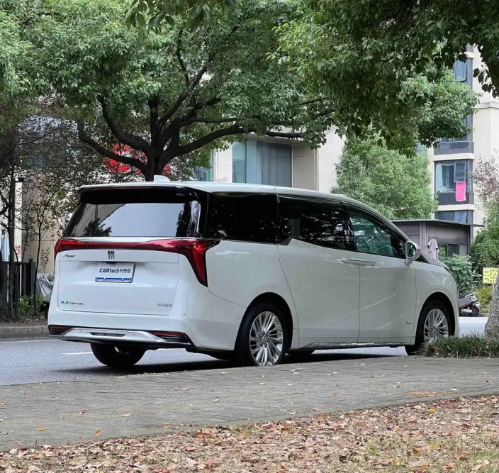 Century 2025 Model 2.0T VI seat Yunshi Edition – фото 7