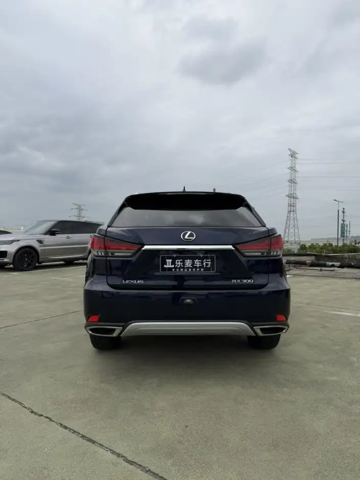 Lexus RX 2021 Model 300 4WD F SPORT – фото 5
