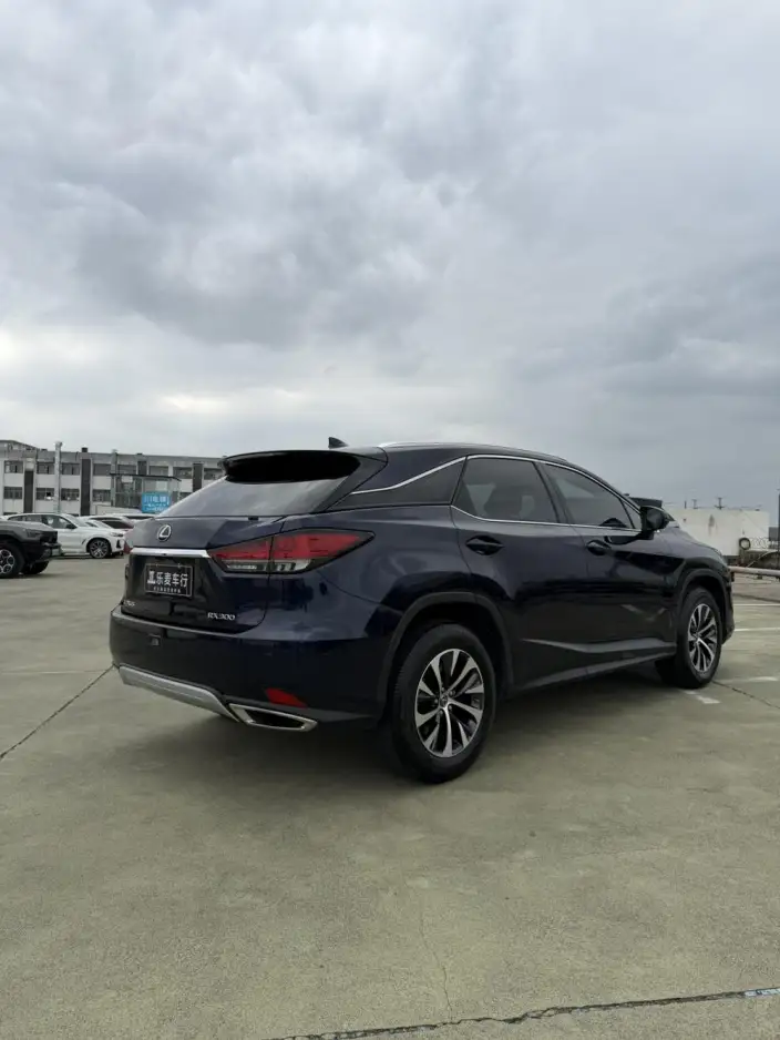 Lexus RX 2021 Model 300 4WD F SPORT – фото 6