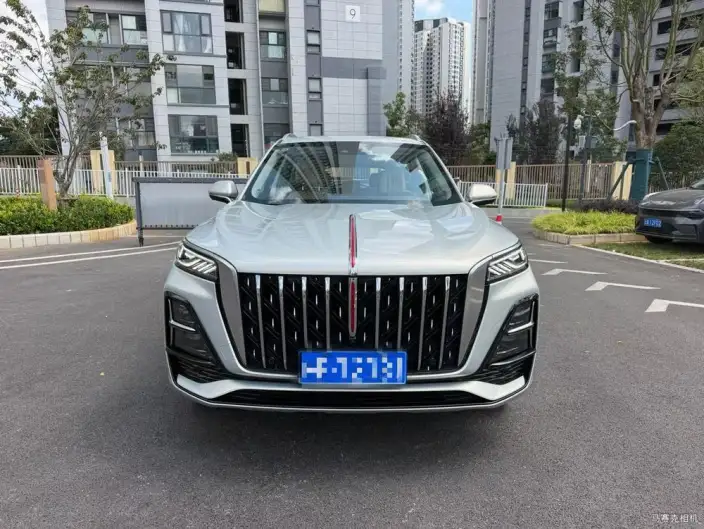 Hongqi HS5 2023 Model 2.0T 4WD Flag Ling Pro Edition – фото 2