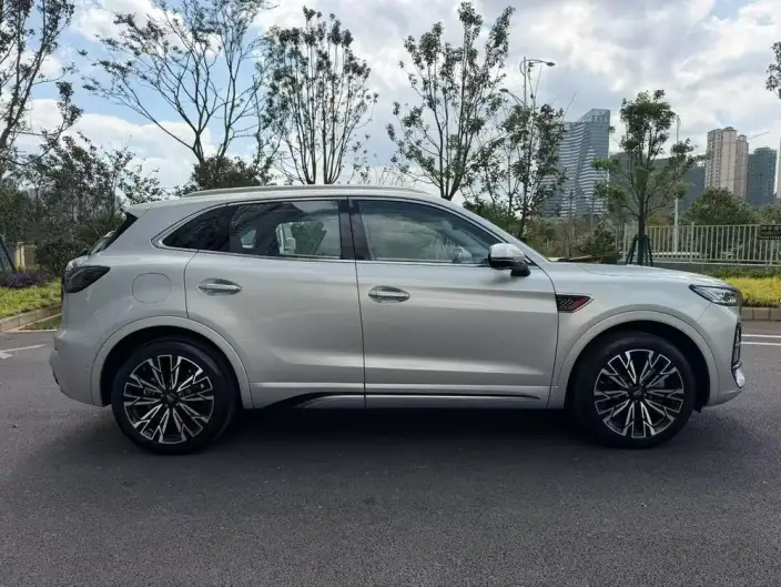 Hongqi HS5 2023 Model 2.0T 4WD Flag Ling Pro Edition – фото 5