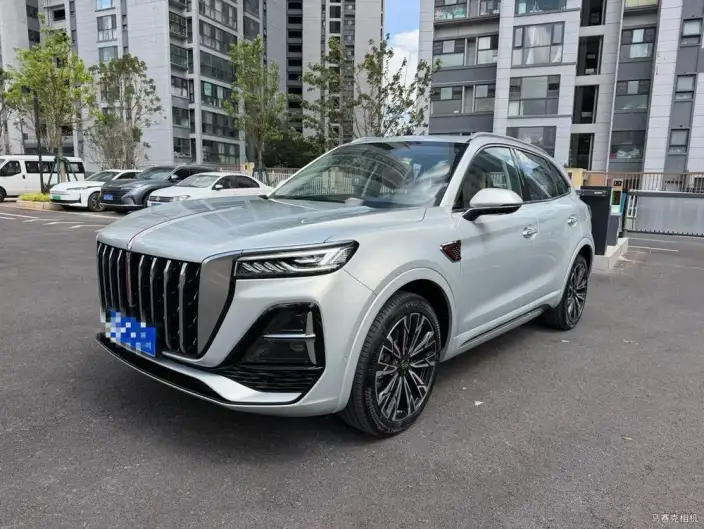 Hongqi HS5 2023 Model 2.0T 4WD Flag Ling Pro Edition – фото 10