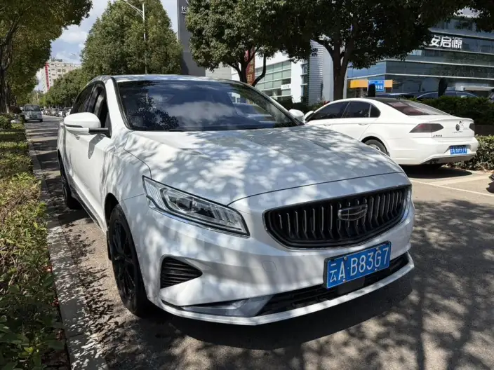Geely Borui 2021 Model 1.8T Pilot Edition – фото 2