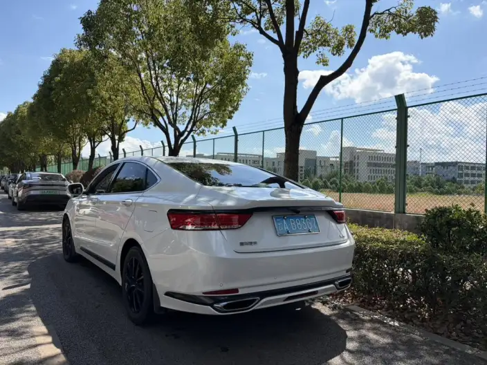 Geely Borui 2021 Model 1.8T Pilot Edition – фото 3