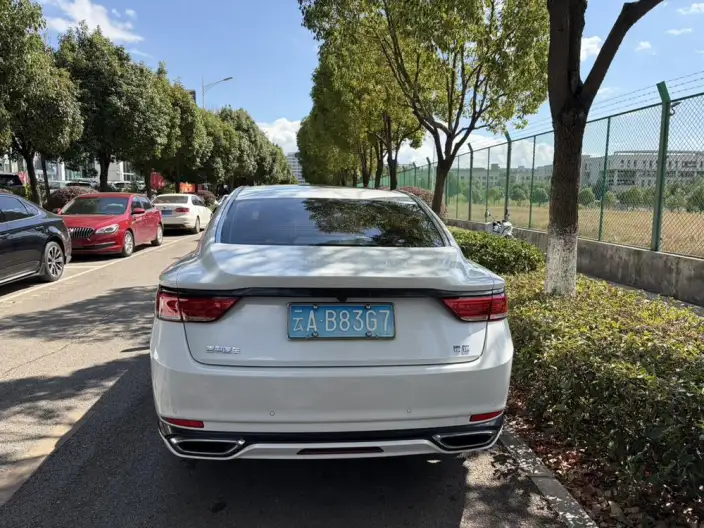 Geely Borui 2021 Model 1.8T Pilot Edition – фото 4