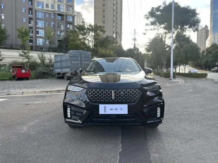 WEY VV7 2020 Model 2.0T Flagship Model – фото 2