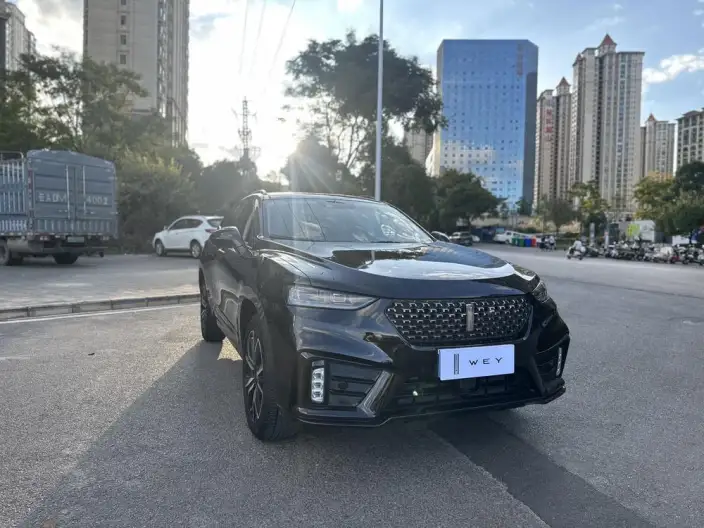 WEY VV7 2020 Model 2.0T Flagship Model – фото 3