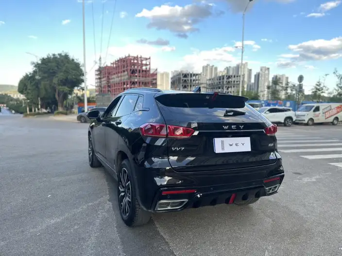 WEY VV7 2020 Model 2.0T Flagship Model – фото 4