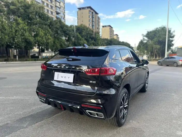 WEY VV7 2020 Model 2.0T Flagship Model – фото 6