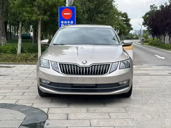 Skoda Octavia 2020 Model TSI230 DSG Zhixing Comfort Edition – фото 2