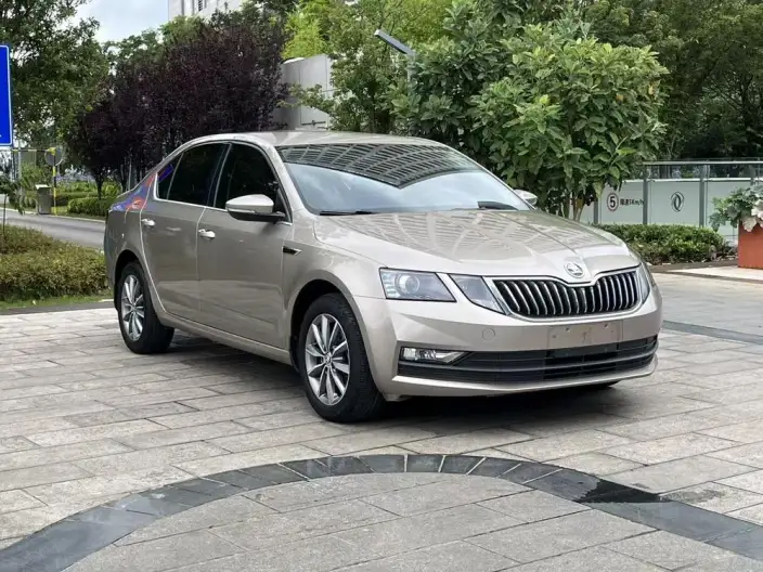 Skoda Octavia 2020 Model TSI230 DSG Zhixing Comfort Edition – фото 3