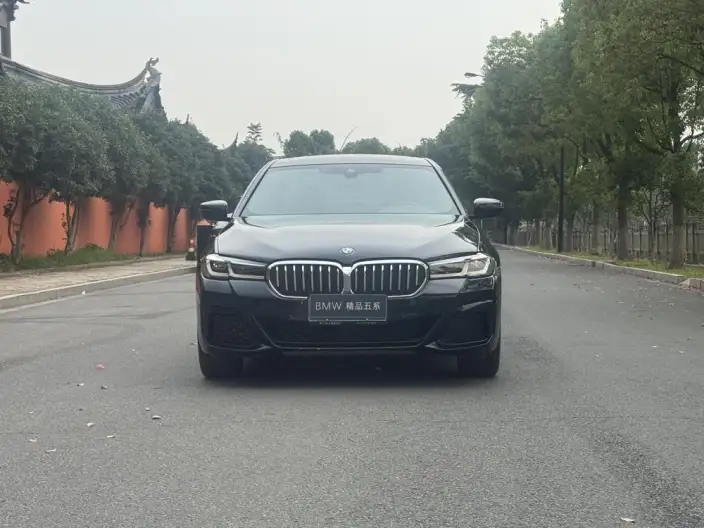 BMW 5 Series 2021 Model 530Li Leading Model M Sports Set – фото 2
