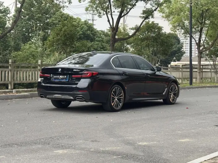 BMW 5 Series 2021 Model 530Li Leading Model M Sports Set – фото 6