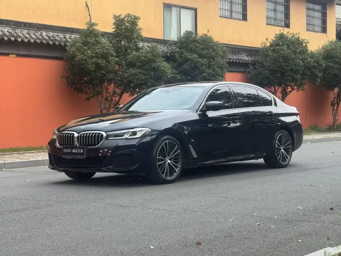 BMW 5 Series 2021 Model 530Li Leading Model M Sports Set – фото 10
