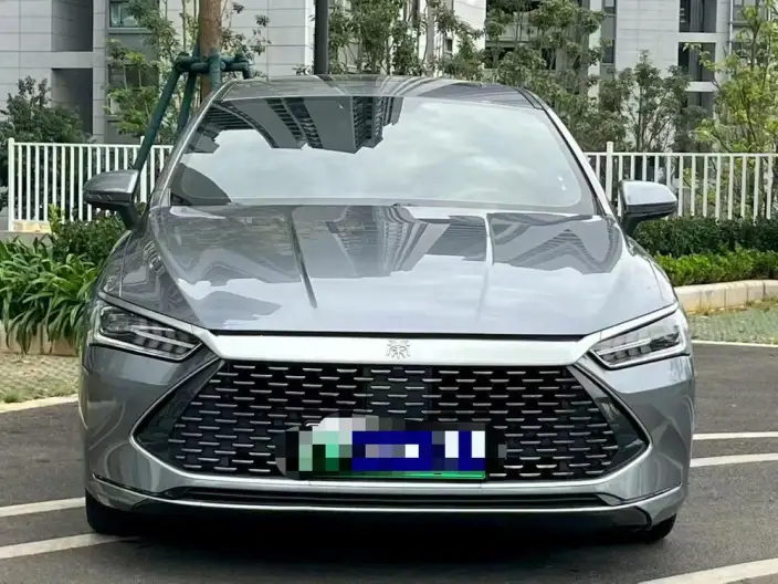 BYD Qin PLUS DM 2021 Model DM-i 55KM Noble Model – фото 2