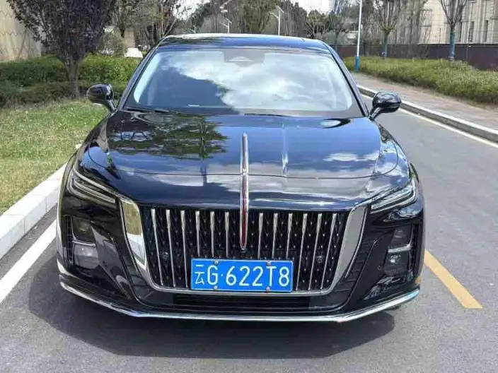 Hongqi H5 2023 Model 2.0T Automatic Flag Lead Edition – фото 2