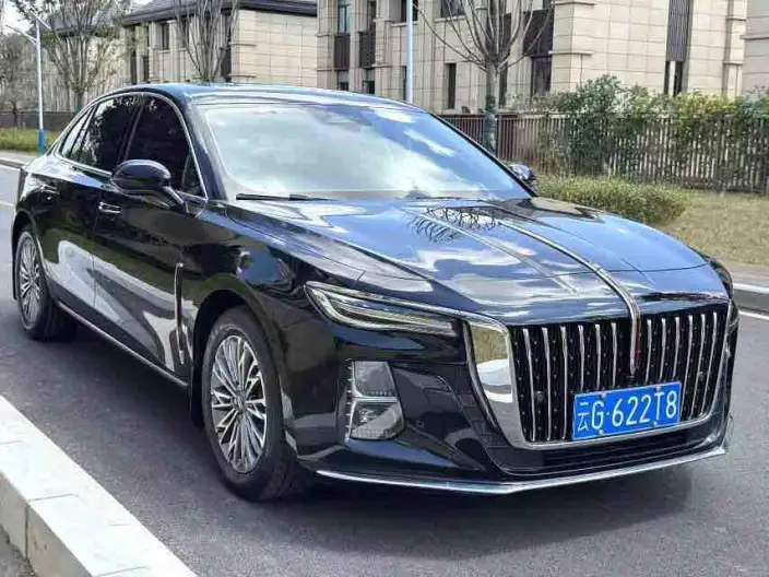 Hongqi H5 2023 Model 2.0T Automatic Flag Lead Edition – фото 3