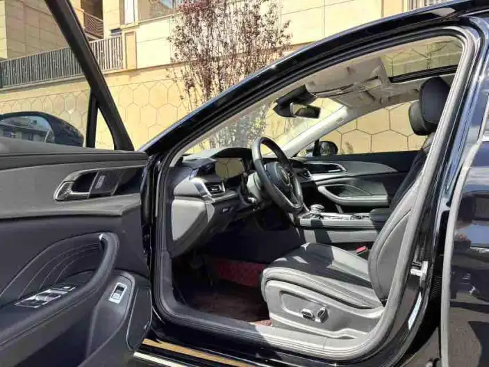 Hongqi H5 2023 Model 2.0T Automatic Flag Lead Edition – фото 7