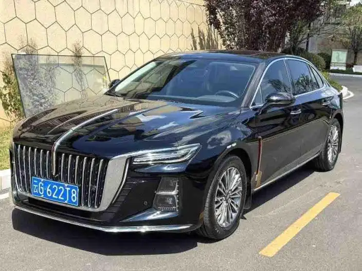 Hongqi H5 2023 Model 2.0T Automatic Flag Lead Edition – фото 10