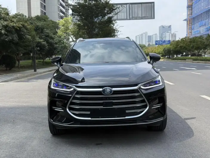 BYD Tang DM 2023 Model DM-i Champion Edition 112KM Noble Model – фото 2