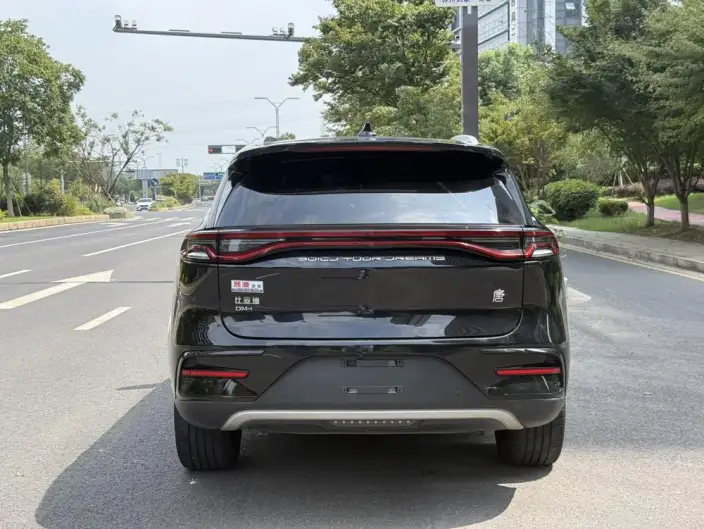 BYD Tang DM 2023 Model DM-i Champion Edition 112KM Noble Model – фото 5