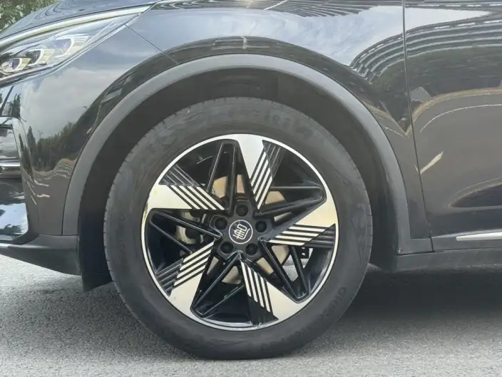 BYD Tang DM 2023 Model DM-i Champion Edition 112KM Noble Model – фото 9
