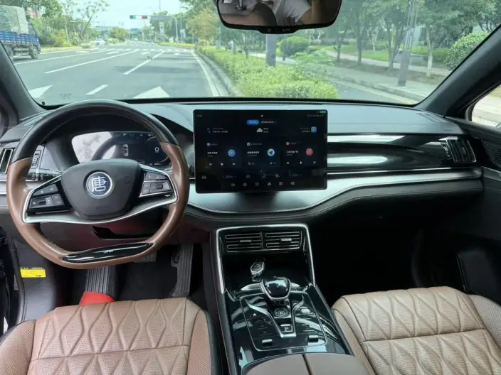 BYD Tang DM 2023 Model DM-i Champion Edition 112KM Noble Model – фото 10