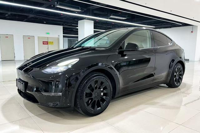 Tesla Model Y 2021 Standard Range RWD – фото 1