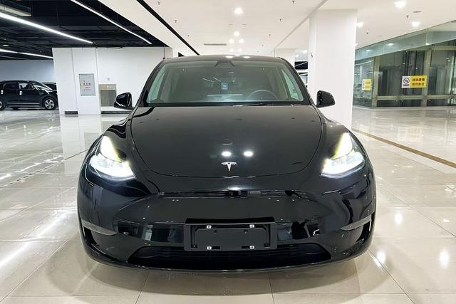 Tesla Model Y 2021 Standard Range RWD – фото 2