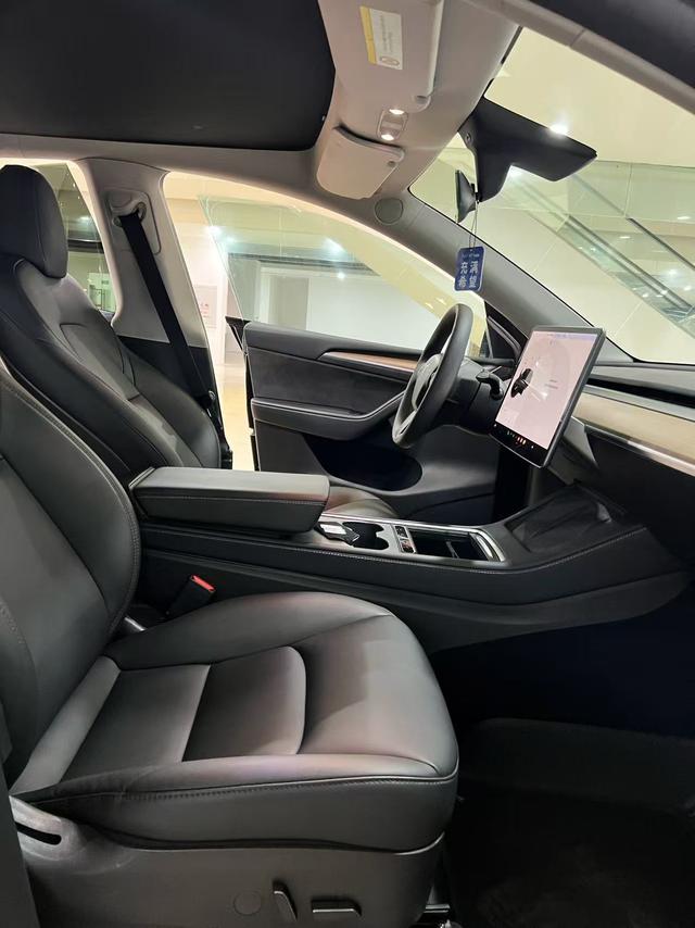 Tesla Model Y 2021 Standard Range RWD – фото 6