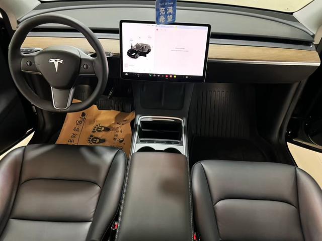 Tesla Model Y 2021 Standard Range RWD – фото 8