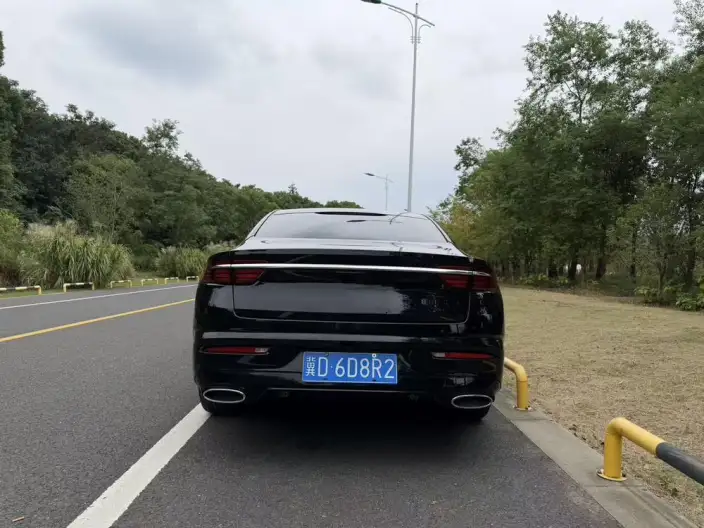 Geely StarRui 2021 Model 2.0T Noble Model – фото 5