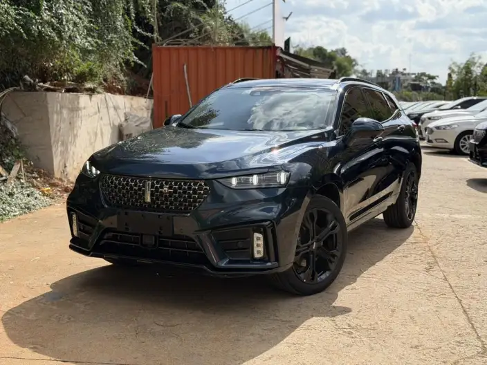 WEY VV7 2021 Model 2.0T Technology Edition – фото 1