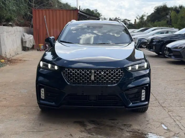 WEY VV7 2021 Model 2.0T Technology Edition – фото 2